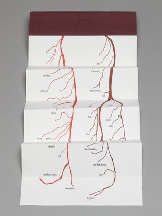 An Anatomical Exercise: Excerpts from De motu cordis by William Harvey