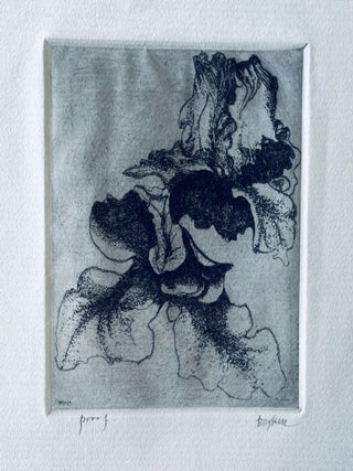Four Iterations of Proof Etchings of Iris Flowers [Artist Proof, Second State. Leonard Baskin.