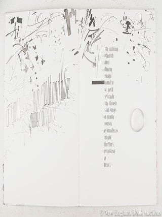 The Harmonic Flight of Madness / A Visual/Verbal Book [Artist Book]