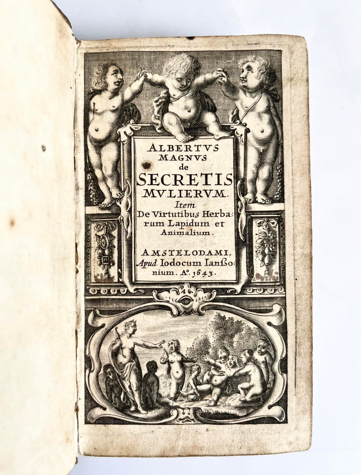 Item #13739 De Secretis Mulierum. Item De Virtutibus Herbarum Lapidum et Animalium [with Secreta Naturae] / Albertus Magnus' Secrets of Women and Natural Magic, on the Virtues of Herbs, Stones and Animals. Albert le Grand, Albertus Magnus, attributed Albertus Magnus, Michael Scotus, Michael Scott.