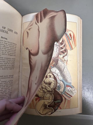 New Warren's Household Physician. Enlarged and Revised; for the Use of Physicians, Families, Mariners, and Miners: Being a Brief Description, in Plain Language, of All the Diseases of Men, Women and Children, With the Latest and Most Approved...