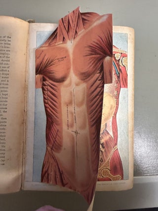 The New American Family Physician Giving in Detail the Cause, Symptoms, Treatments and History of All Diseases of the Human Body and Plain Instructions for the Care of the Sick with Full Directions for Treating Emergency Cases...illustrated with color plates