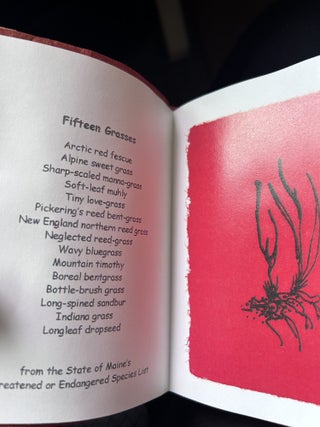 Fifteen Maine Grasses [Artist Proof Copy]