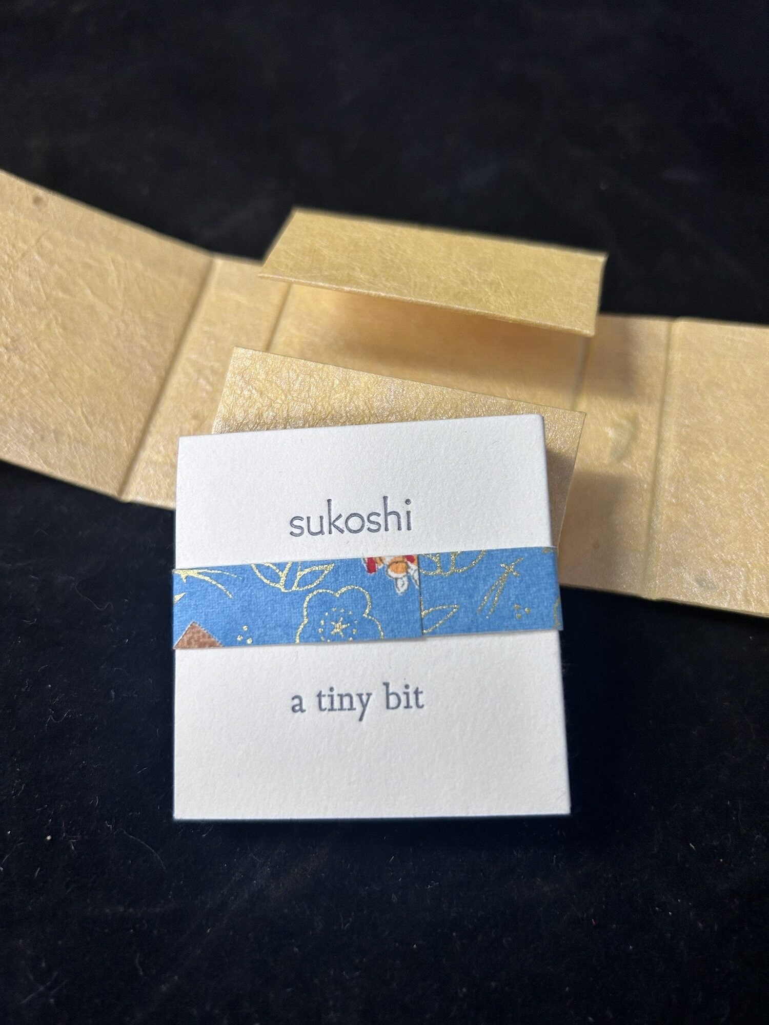 Item #14008 Sukosi: A Tiny Bit. Jessica Spring.