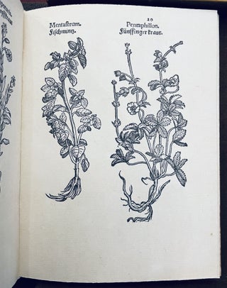 Herbarum imagines vivae: Der Kreuter lebliche Contrafaytung. [Herbarum imagines vivae] - Cover title